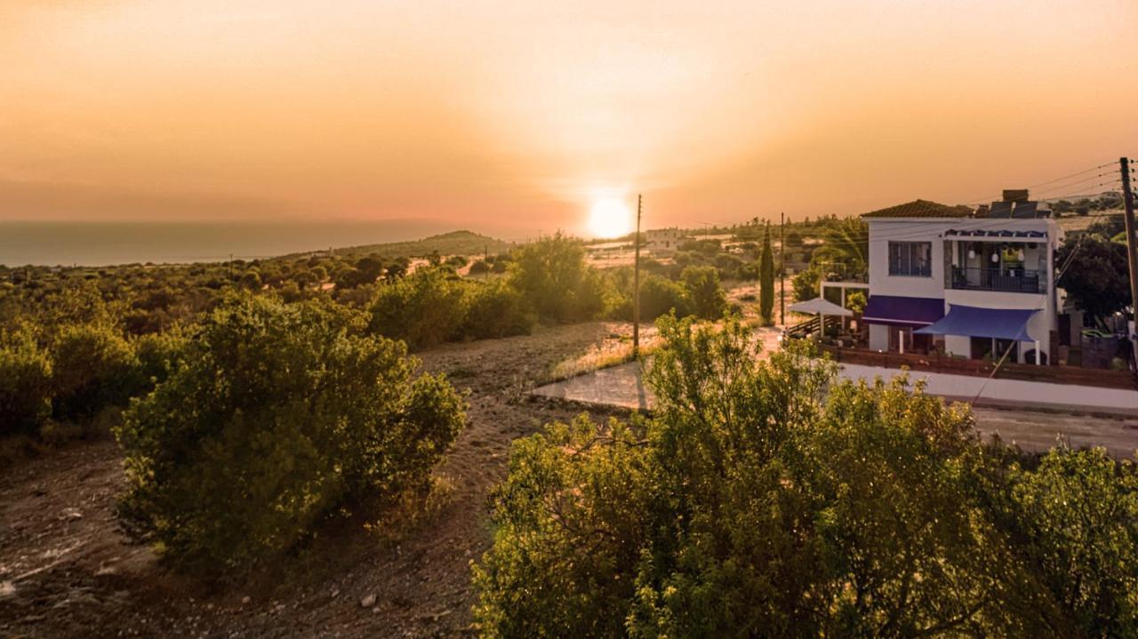 Villanelle Bed & Breakfast Welcomes Dog Lovers Only Tala Buitenkant foto